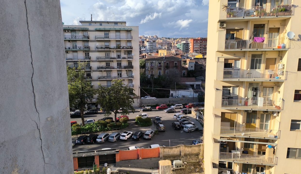 7ed63d79-f03a-4eb7-80f3-d962ac7aba86