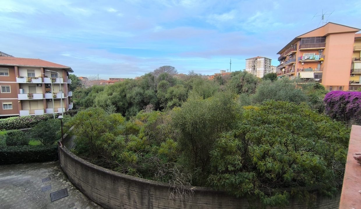 image00001